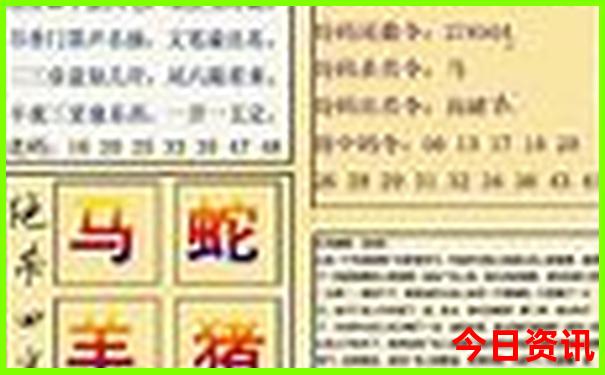新澳门今期开奖结果开奖查询